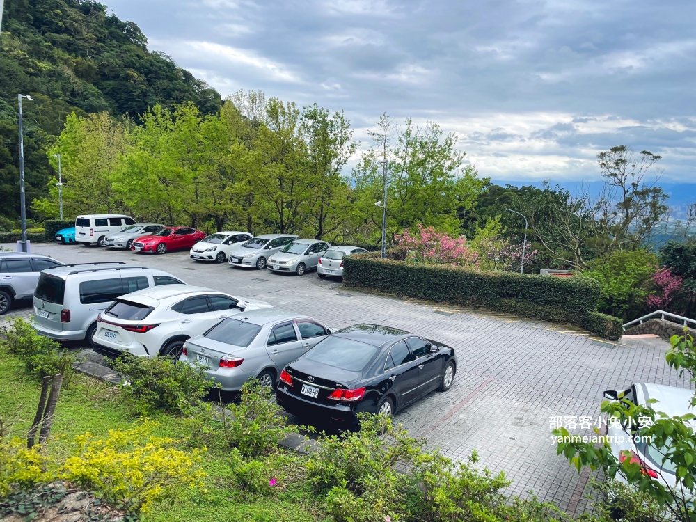 五股【豹豹咖啡】森林園區內的景觀咖啡館，有可愛店貓住在裡面(攻略)