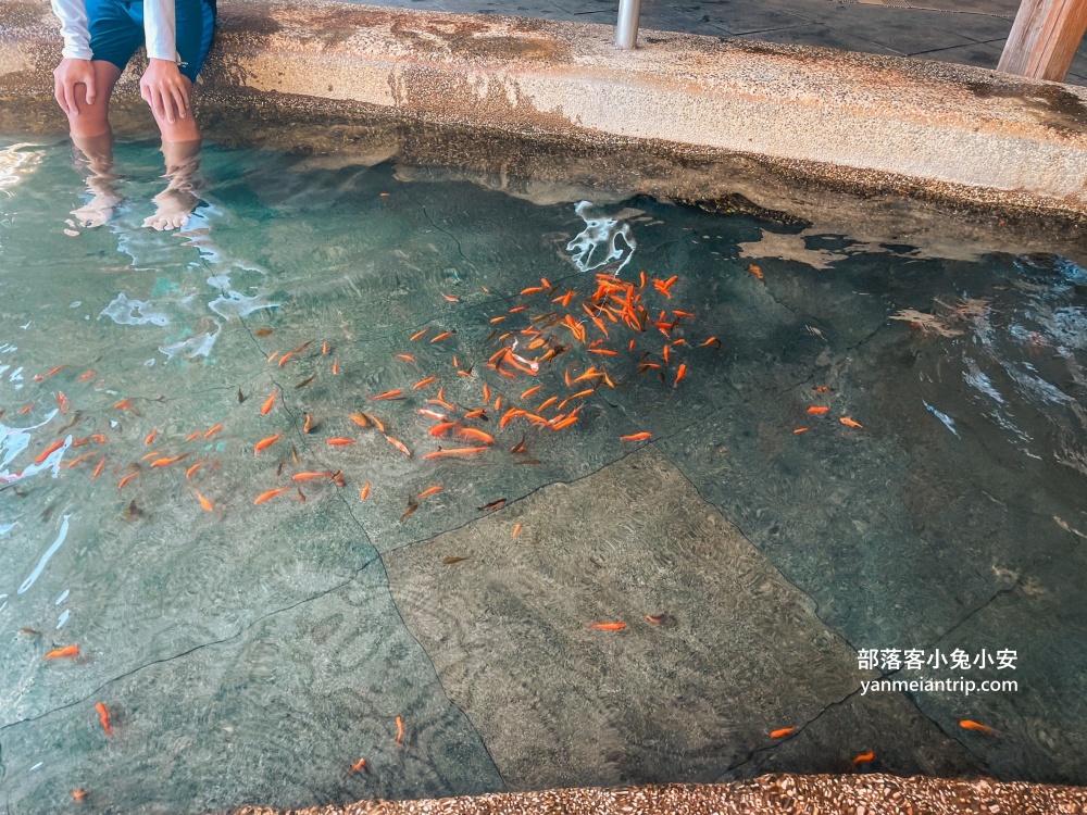 新北萬里【金湧泉溫泉會館】有許多風情的溫泉湯池與山泉戲水池