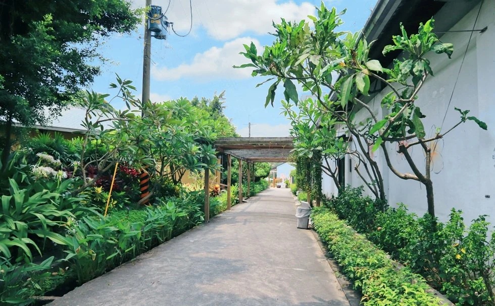 網站近期文章：【雅聞峇里海岸觀光工廠】戶外景觀非常適合拍照，館內有親切的店員提供化妝品試用