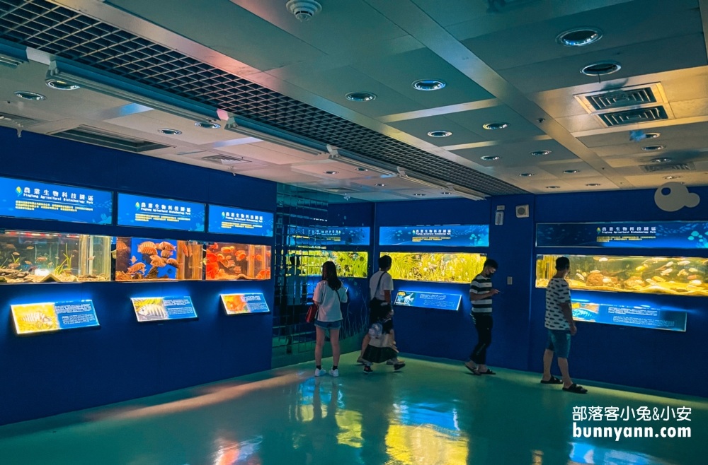 網站近期文章：屏東【長治水族館】有很多稀奇古怪的魚類和蝦子，門票價格也很親民