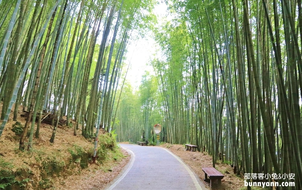 網站近期文章：嘉義【瑞里綠色隧道】美到像瞬間飛到日本嵐山！