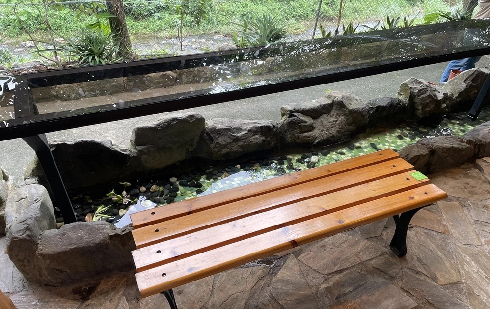 網站近期文章：宜蘭【流水森林】義大利麵不但好吃又有入味，價格還很親民