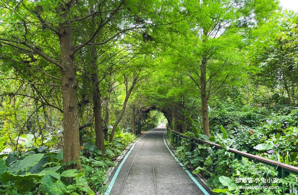 網站近期文章：雲林【古坑綠色隧道】假日市集吃美食、暢遊綠色單車廊道、鵝媽媽鵝童驛站免費逛