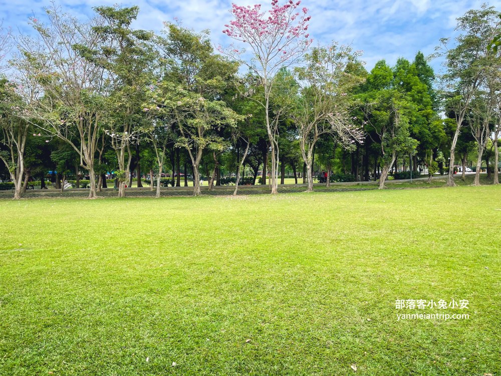 雲林【古坑綠色隧道】假日市集吃美食、暢遊綠色單車廊道、鵝媽媽鵝童驛站免費逛