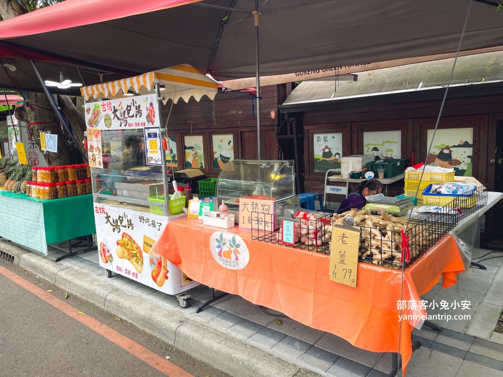 雲林【古坑綠色隧道】假日市集吃美食、暢遊綠色單車廊道、鵝媽媽鵝童驛站免費逛