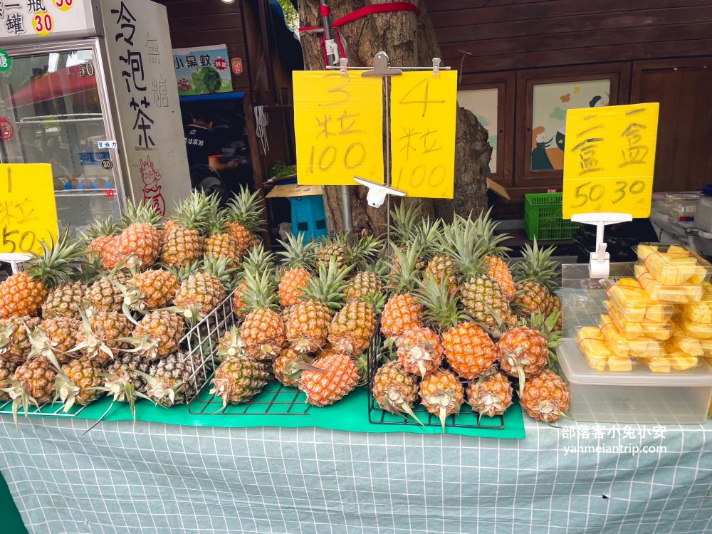 雲林【古坑綠色隧道】假日市集吃美食、暢遊綠色單車廊道、鵝媽媽鵝童驛站免費逛