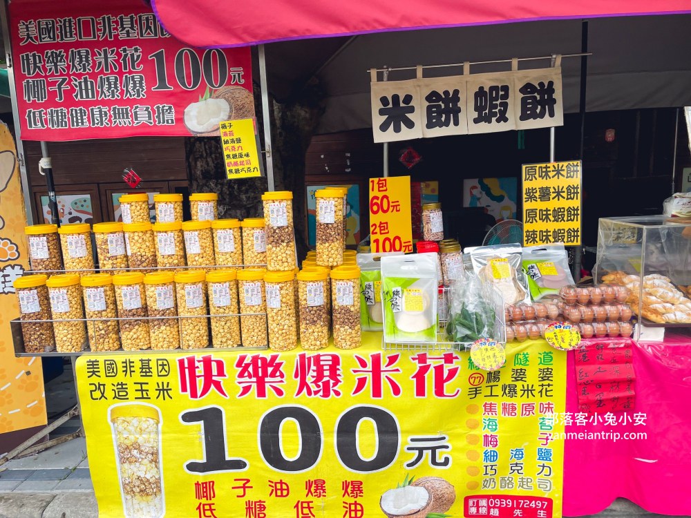 雲林【古坑綠色隧道】假日市集吃美食、暢遊綠色單車廊道、鵝媽媽鵝童驛站免費逛