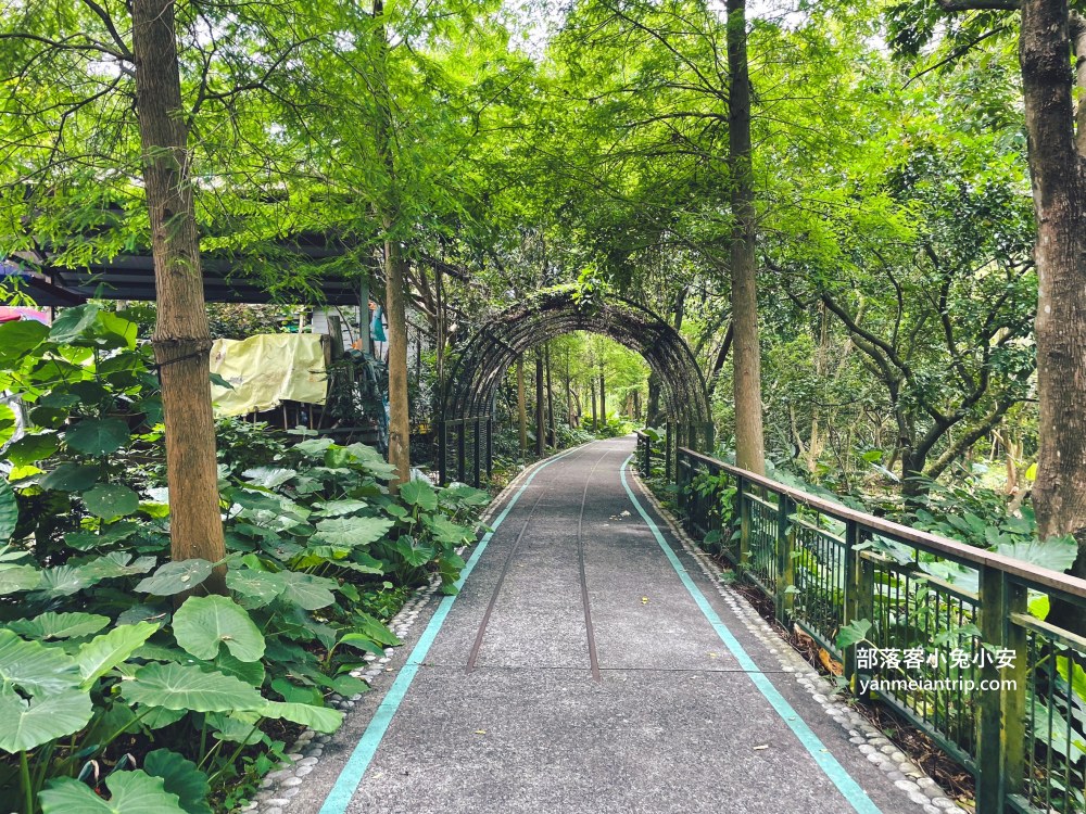雲林【古坑綠色隧道】假日市集吃美食、暢遊綠色單車廊道、鵝媽媽鵝童驛站免費逛