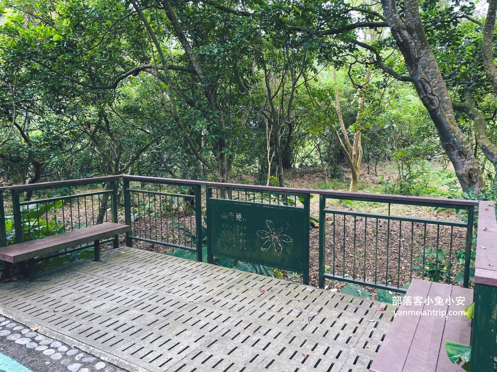 雲林【古坑綠色隧道】假日市集吃美食、暢遊綠色單車廊道、鵝媽媽鵝童驛站免費逛