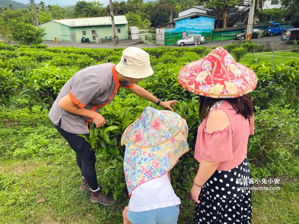 HUGOSUM和菓森林紅茶莊園｜半日茶師小旅行，TEAGE一頁茶傳習所DIY紅茶體驗真好玩