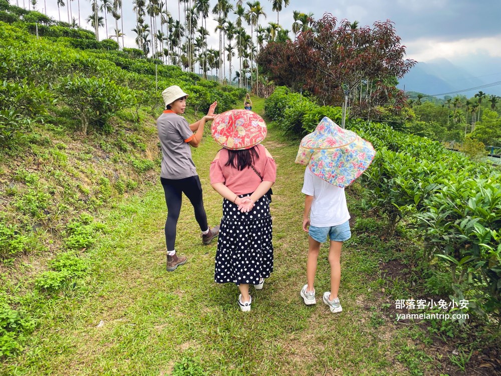 HUGOSUM和菓森林紅茶莊園｜半日茶師小旅行，TEAGE一頁茶傳習所DIY紅茶體驗真好玩