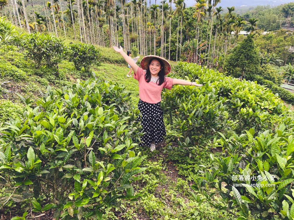 HUGOSUM和菓森林紅茶莊園｜半日茶師小旅行，TEAGE一頁茶傳習所DIY紅茶體驗真好玩