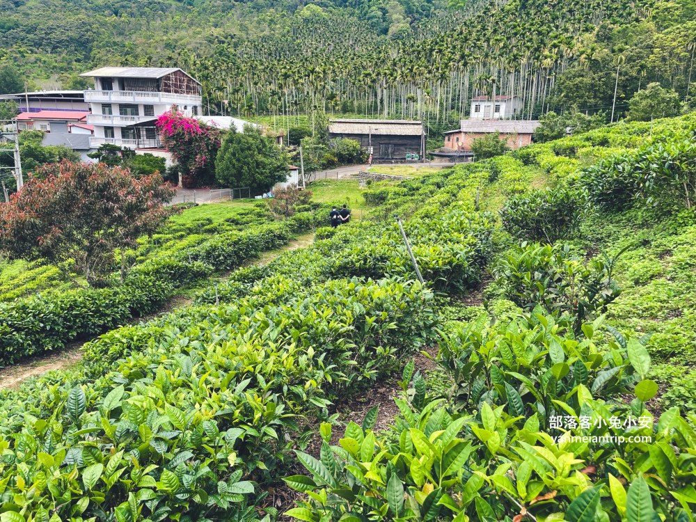 HUGOSUM和菓森林紅茶莊園｜半日茶師小旅行，TEAGE一頁茶傳習所DIY紅茶體驗真好玩