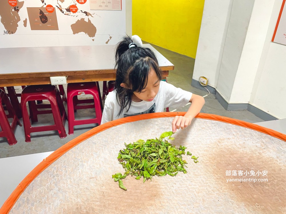 HUGOSUM和菓森林紅茶莊園｜半日茶師小旅行，TEAGE一頁茶傳習所DIY紅茶體驗真好玩