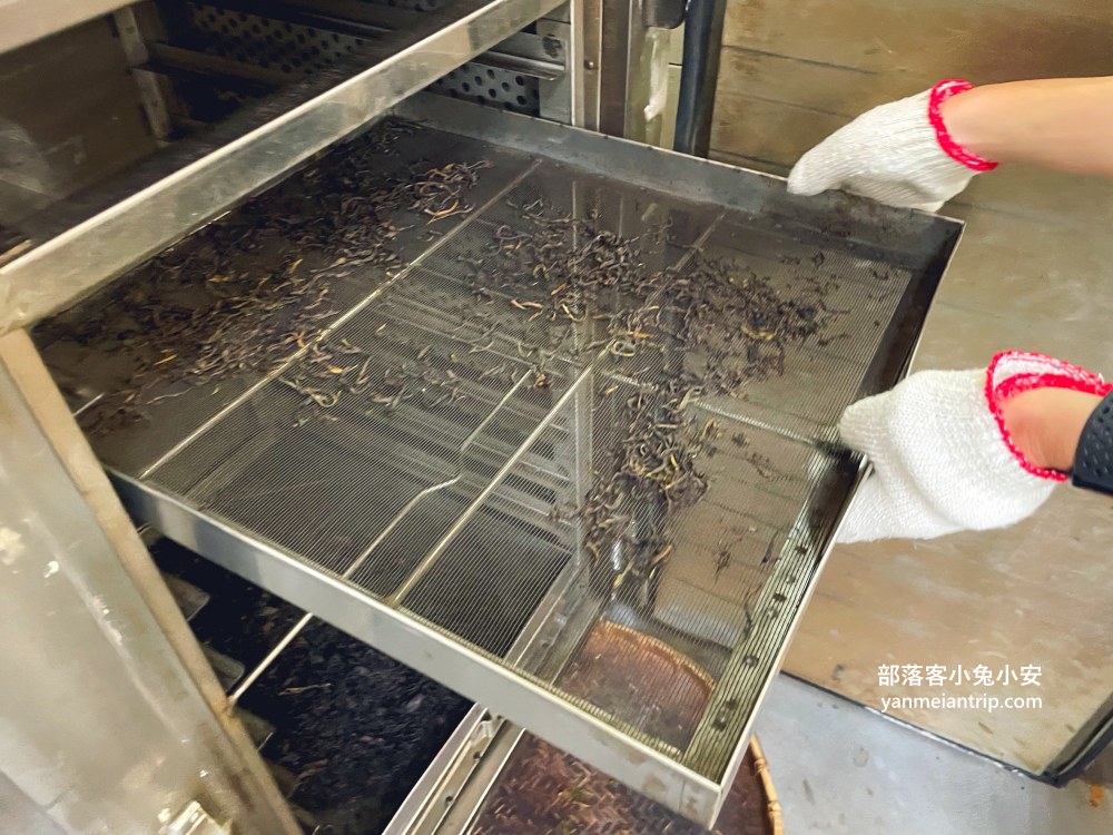 HUGOSUM和菓森林紅茶莊園｜半日茶師小旅行，TEAGE一頁茶傳習所DIY紅茶體驗真好玩