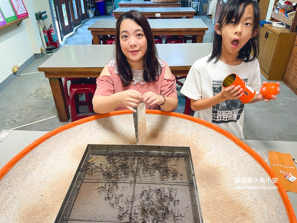 HUGOSUM和菓森林紅茶莊園｜半日茶師小旅行，TEAGE一頁茶傳習所DIY紅茶體驗真好玩