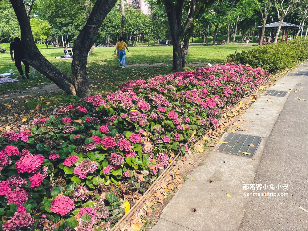 台北市【大安森林公園】來回不用半小時，輕鬆賞湖泊美景與親子遊戲區