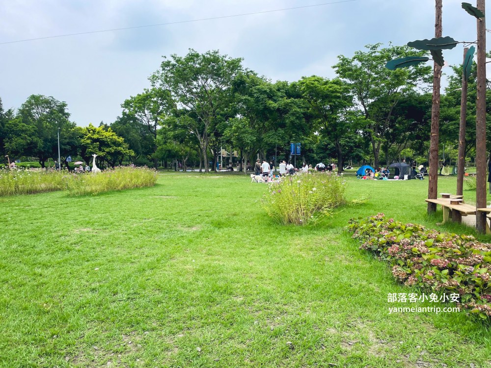 台北市【大安森林公園】來回不用半小時，輕鬆賞湖泊美景與親子遊戲區
