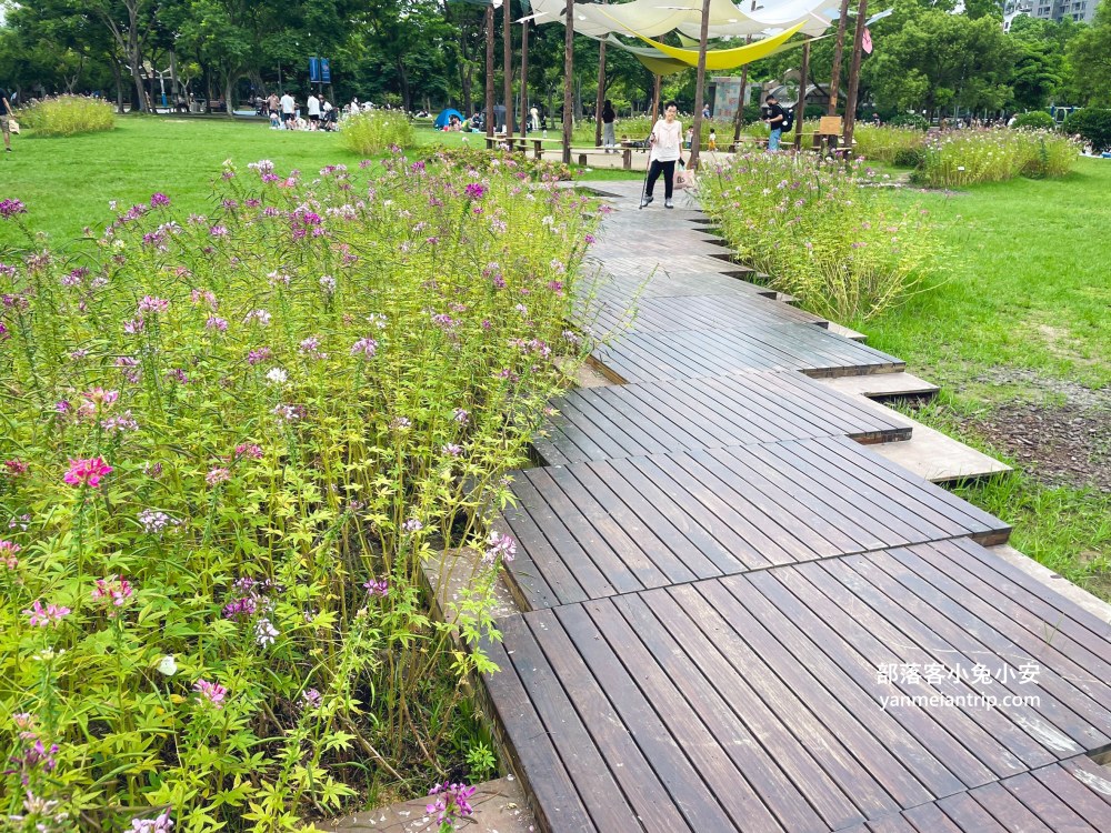 台北市【大安森林公園】來回不用半小時，輕鬆賞湖泊美景與親子遊戲區