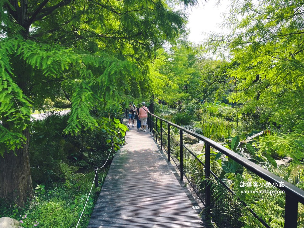 台北市【大安森林公園】來回不用半小時，輕鬆賞湖泊美景與親子遊戲區