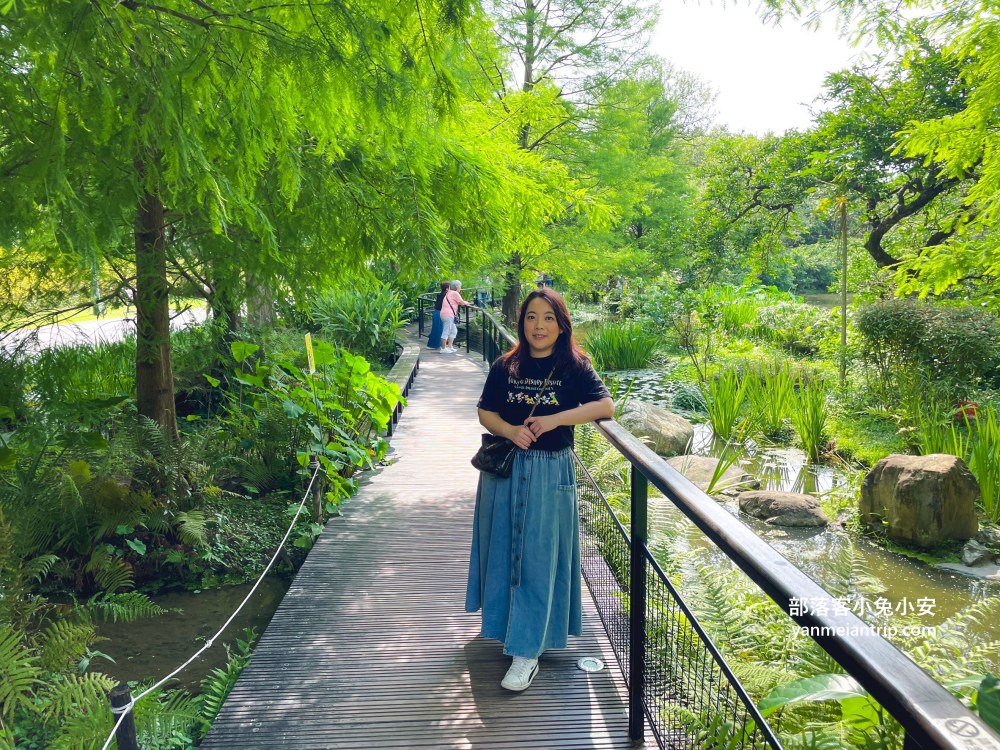台北市【大安森林公園】來回不用半小時，輕鬆賞湖泊美景與親子遊戲區