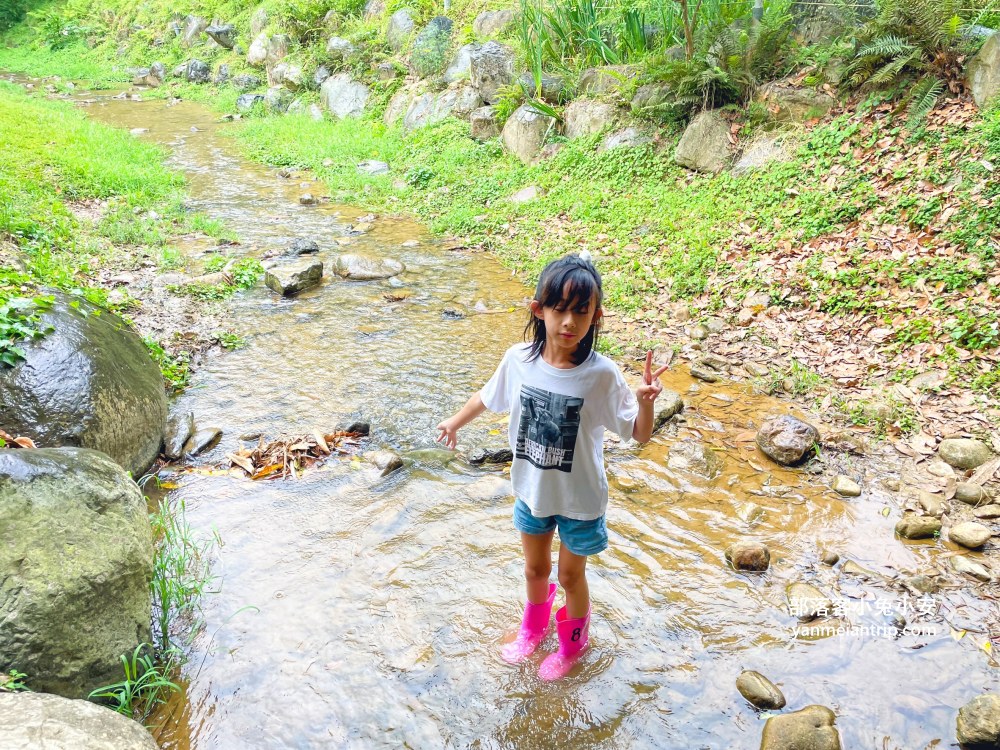 【岸境濕地莊園】森林系咖啡秘境＋山泉戲水池超療癒！