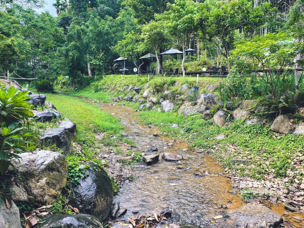 【岸境濕地莊園】森林系咖啡秘境＋山泉戲水池超療癒！