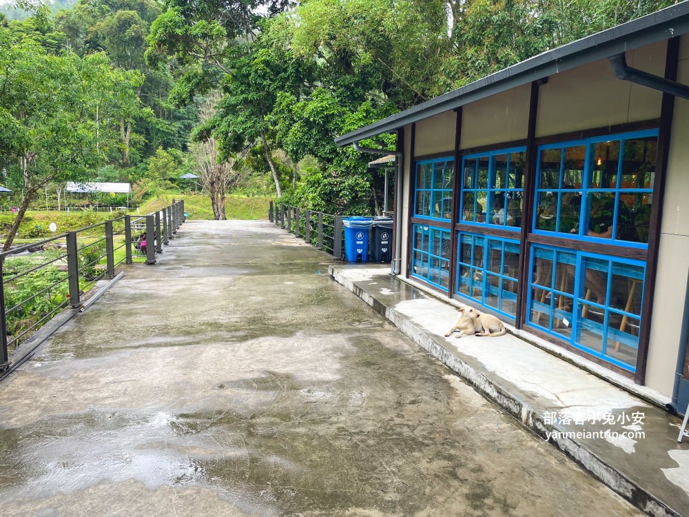 【岸境濕地莊園】森林系咖啡秘境＋山泉戲水池超療癒！