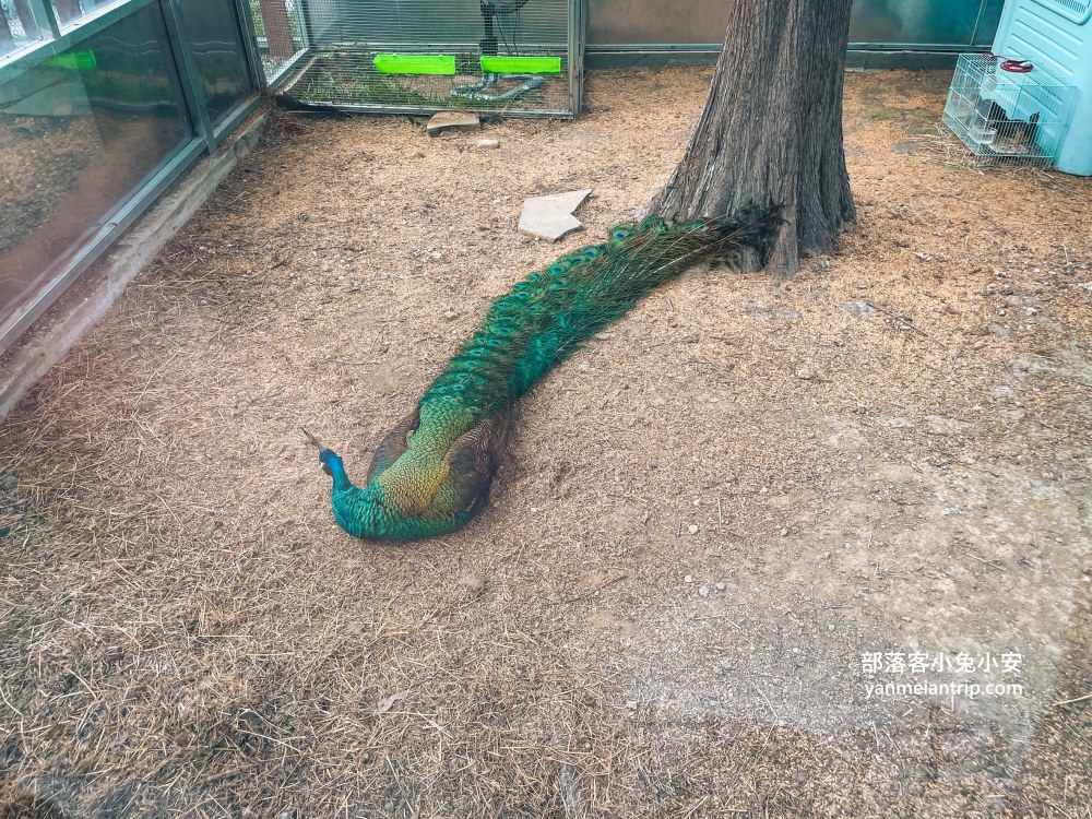 水与松森林莊園(水與松萌萌園)門票+禮物兌換券+星巴克抵用金(優惠)