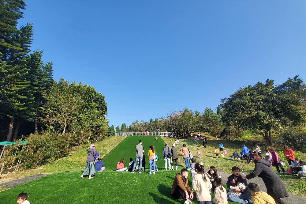 嘉義獨角仙農場，餵牛喝奶奶、草地放風、甜甜糖果屋，放假踏青好去處