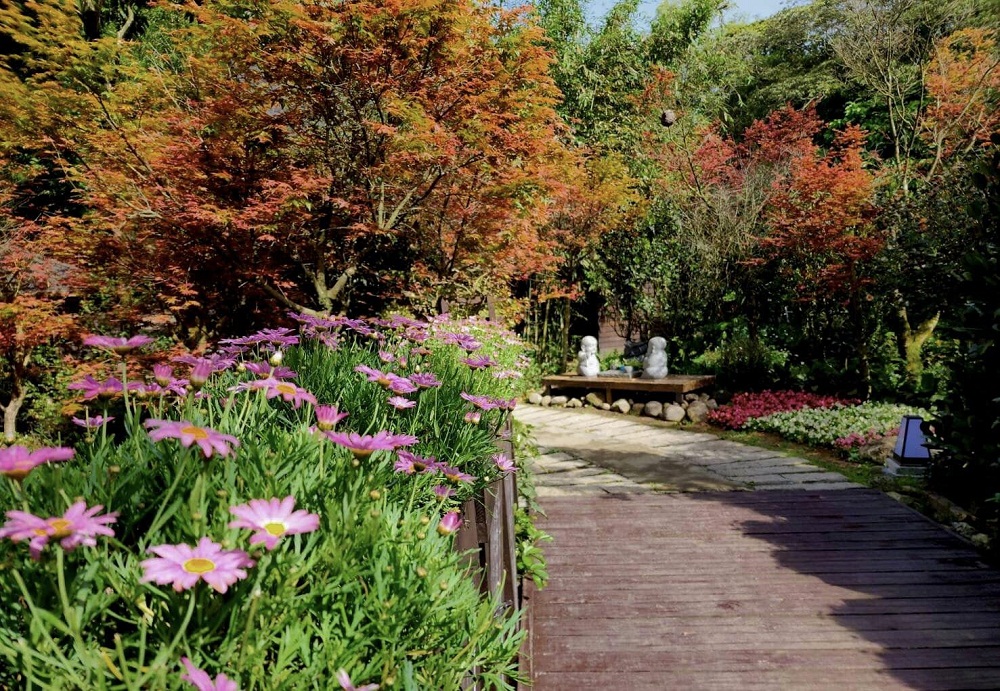 台北陽明山奧萬大樂活莊園，賞楓紅最佳景點，門票資訊介紹!!