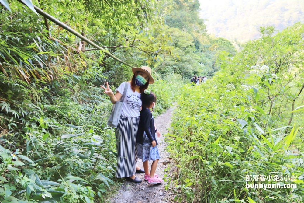 南投【彩蝶瀑布】走路十分鐘賞水簾瀑布，溪水乾淨又沁涼