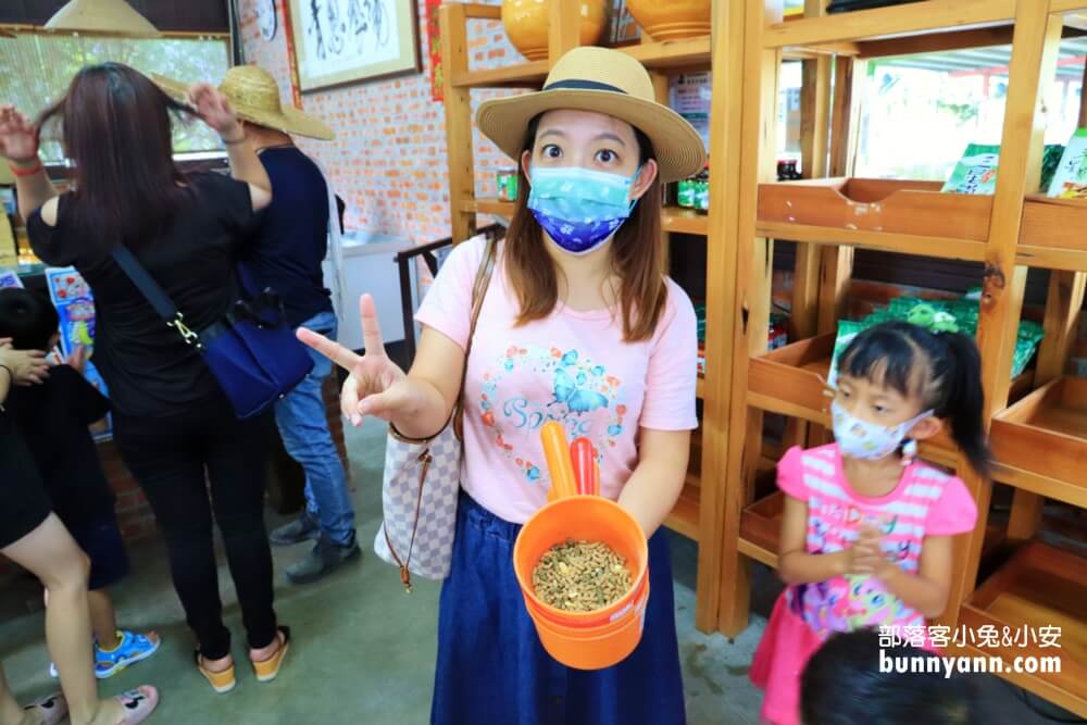 【宜蘭】農夫青蔥體驗農場，來拔三星蔥回家，餵梅花鹿吃飯