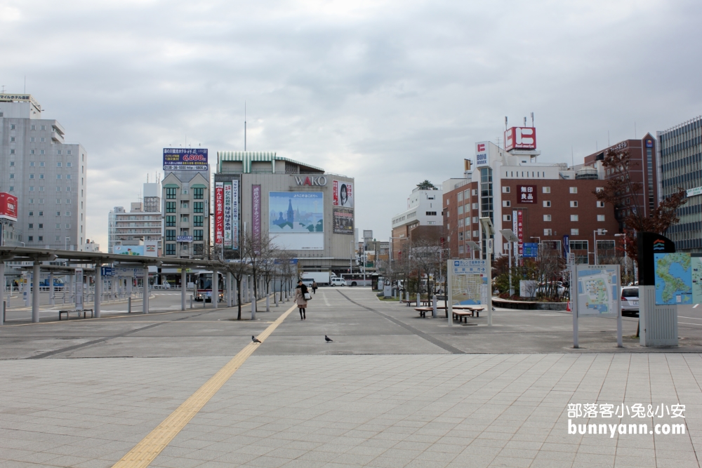 函館朝市｜來吃北海道新鮮海膽與螃蟹順遊大沼湖