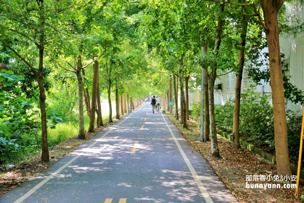 台中景點》潭雅神綠園道，美拍浪漫s彎道&波浪自行車道