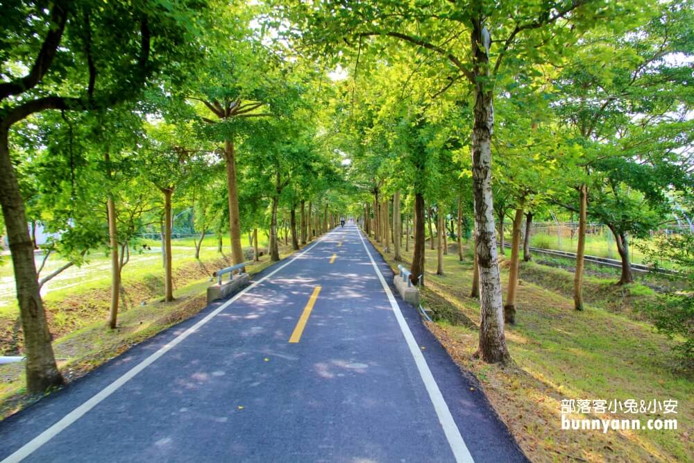 台中景點》潭雅神綠園道，美拍浪漫s彎道&波浪自行車道