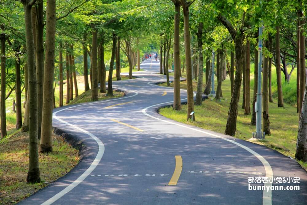 台中景點》潭雅神綠園道，美拍浪漫s彎道&波浪自行車道