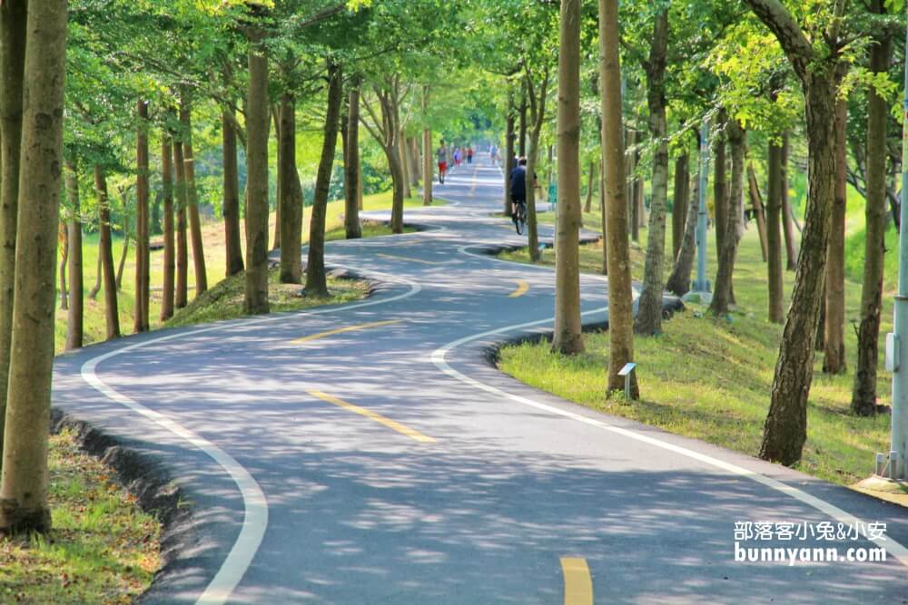 台中景點》潭雅神綠園道，美拍浪漫s彎道&波浪自行車道