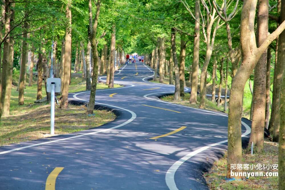 台中景點》潭雅神綠園道，美拍浪漫s彎道&波浪自行車道