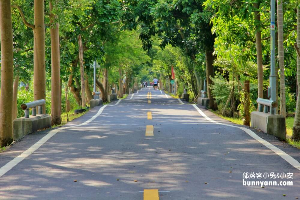 台中景點》潭雅神綠園道，美拍浪漫s彎道&波浪自行車道