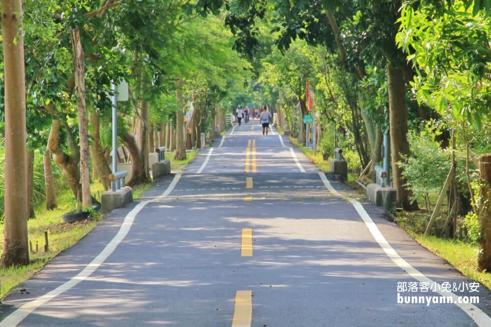 台中景點》潭雅神綠園道，美拍浪漫s彎道&波浪自行車道