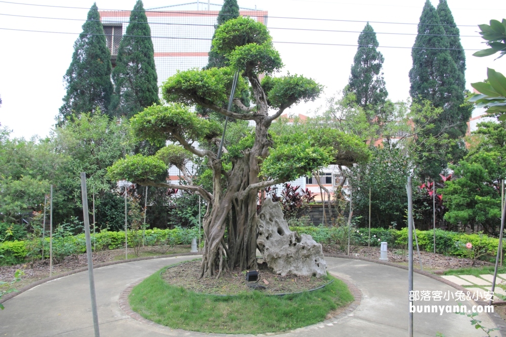 「品園日式花園」苗栗森林庭院免費約會好地方