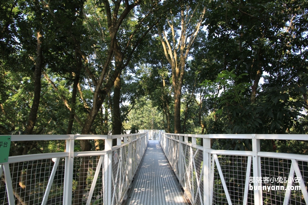 一定要來【竹崎公園天空走廊】花仙子步道空中廊道參觀指南