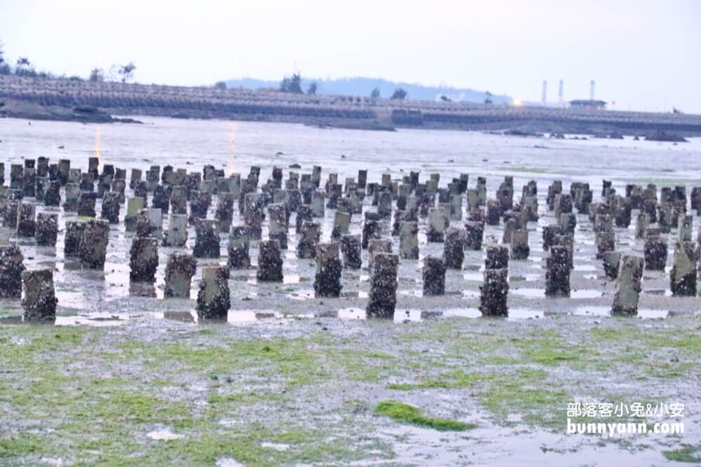 金門景點》建功嶼，金門版摩西分海，必拍海上牡蠣人，賞夕陽最佳秘境