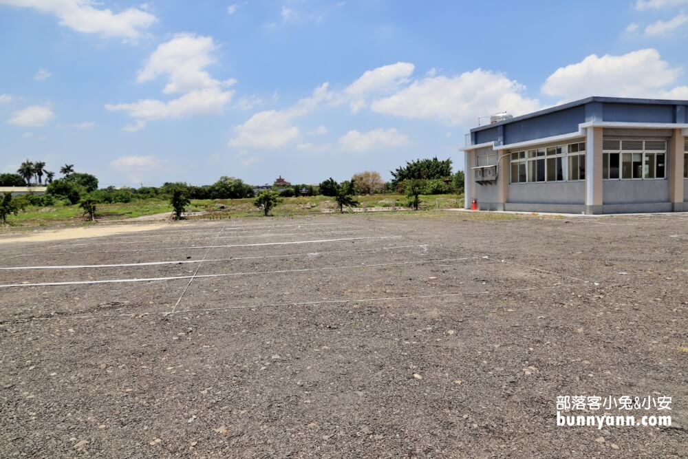 彰化景點》董家花田，田尾繽紛四季花海，戶外野餐好地方