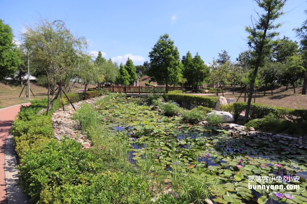 彰化景點》秀水龍騰公園，超高大金龍在這拍，賞綻放荷花，散步出遊好地方