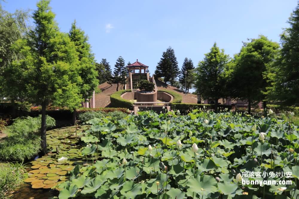 彰化景點》秀水龍騰公園，超高大金龍在這拍，賞綻放荷花，散步出遊好地方