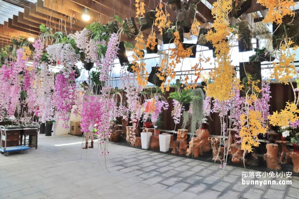 后里萌芳花卉農場，上萬株石斛蘭、蝴蝶蘭，免門票賞花地點