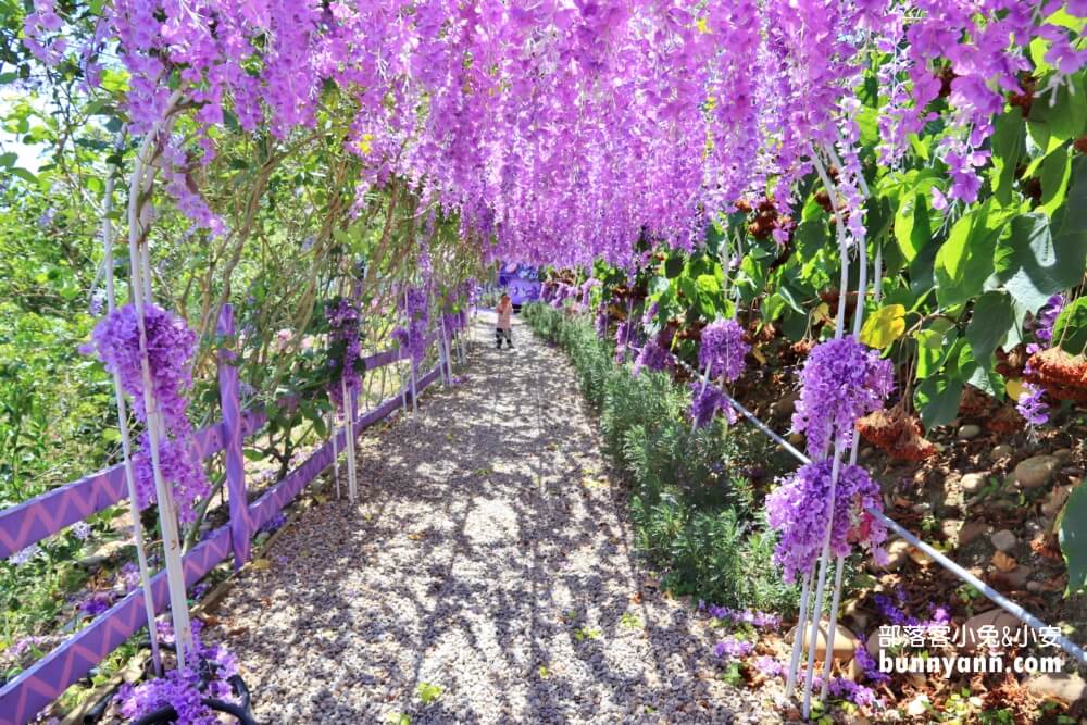 苗栗「噢哈娜咖啡屋」暢遊紫色王國，賞花、門票、必拍場景一次打包。