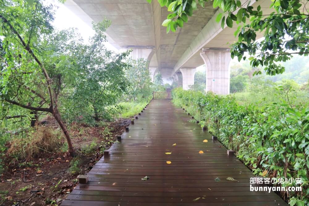 台中地底城【沙鹿休閒景觀步道】國道下方迷你萬里長城步道